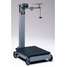 Industrial Mechanical Scale,