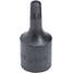 Impact Socket,1/4 In Dr,T27H,