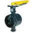 Butterfly Valve,Grooved,4 In,