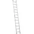 Ladder, Straight, 12 Ft