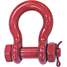 Anchor Shackle,Carbon Steel,70,