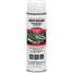 Inverted Striping Paint,White,