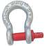 Anchor Shackle,Carbon Steel,34,