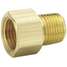 Male Connector,1/2 In.,1/2 In.,