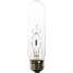 Incandescent Light Bulb,T10,60W
