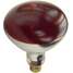 Incandescent Heat Lamp,250W,Red