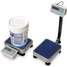 Bench Scale,SS Pltfrm,150kg/