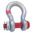 Shackle,1-1/2 In.,60,000 Lb.