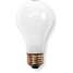 Incandescent Light Bulb,A19,