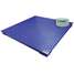 Electronic Floor Scale,1000kg/