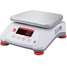 Food Processing Scale,0.001kg/