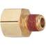Pipe Adapter,1/2 x1/4 In,Brass,